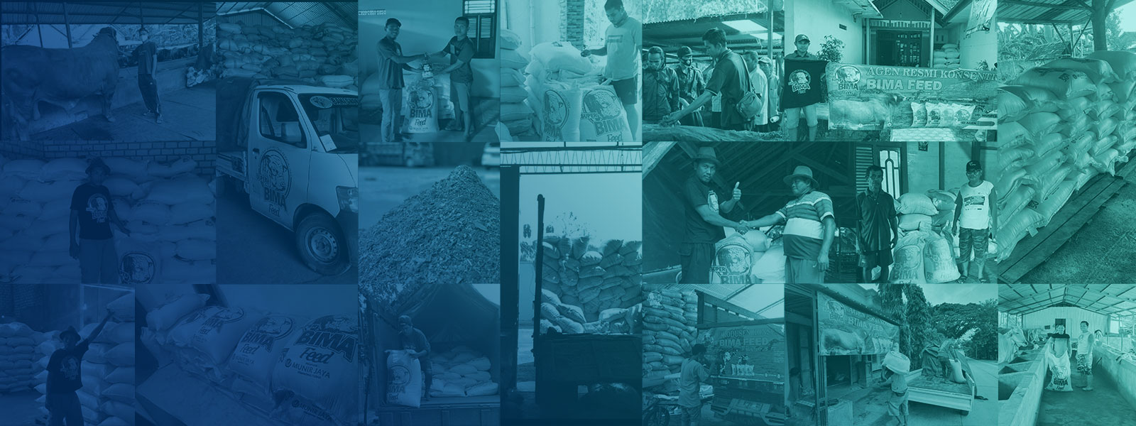 agen-bima-feed Agen Bima Feed
