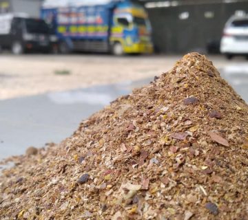 Bahan-bahan Konsentrat dan Kandungan Nutrisinya