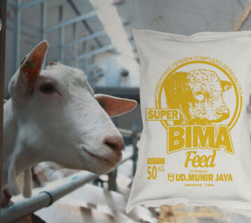 jual pakan fermentasi kambing